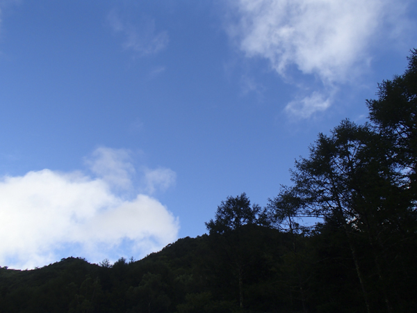 日野2団カブ隊の活動写真その3