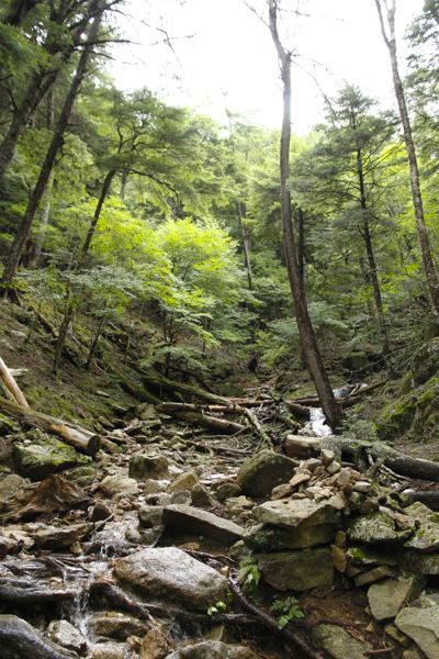 日野2団カブ隊の活動写真その44