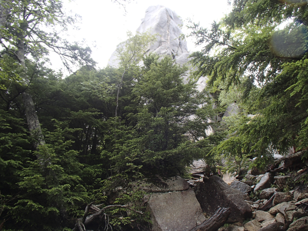 日野2団カブ隊の活動写真その5