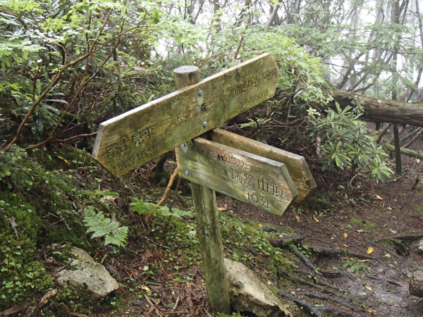 日野2団カブ隊の活動写真その7