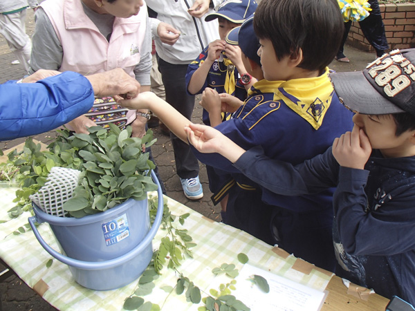 日野2団カブ隊の活動写真その23