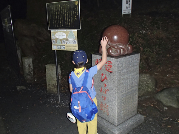 日野2団カブ隊の活動写真その20