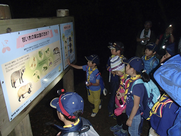 日野2団カブ隊の活動写真その28