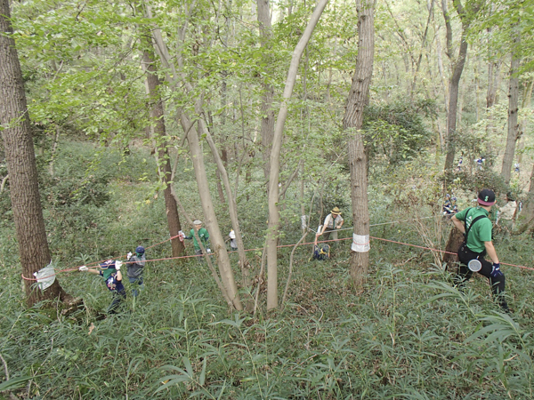 日野2団カブ隊の活動写真その40