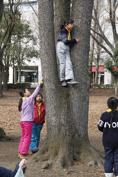 日野2団カブ隊の活動写真その35