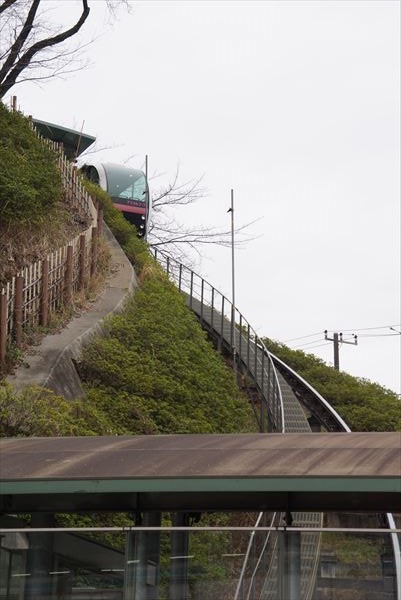 日野2団カブ隊の活動写真その21