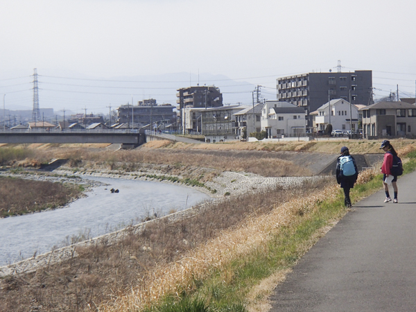 日野2団カブ隊の活動写真その37