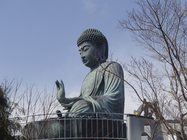 日野2団カブ隊の活動写真その42