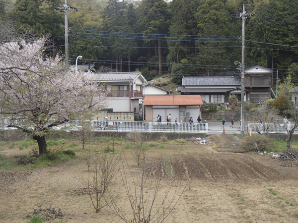 日野2団カブ隊の活動写真その30