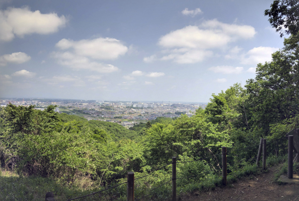 日野2団カブ隊の活動写真その11