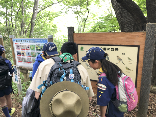 日野2団カブ隊の活動写真その14