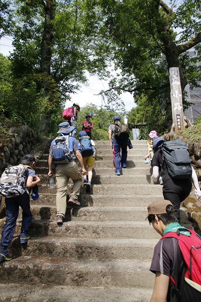 日野2団カブ隊の活動写真その21