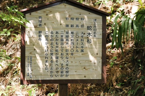 日野2団カブ隊の活動写真その30