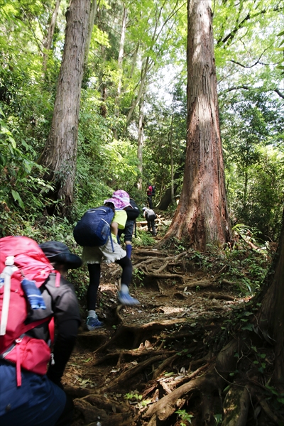 日野2団カブ隊の活動写真その36