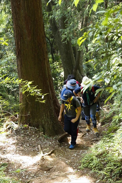 日野2団カブ隊の活動写真その37