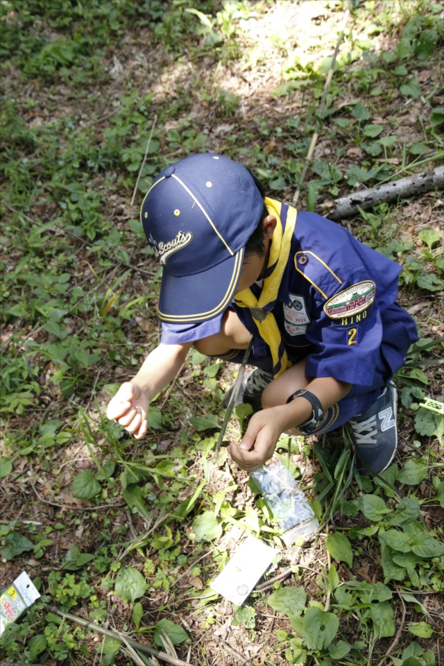 日野2団カブ隊の活動写真その16