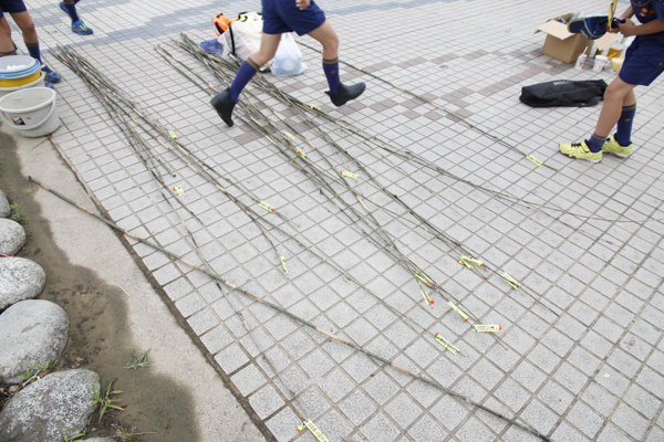 日野2団カブ隊の活動写真その5