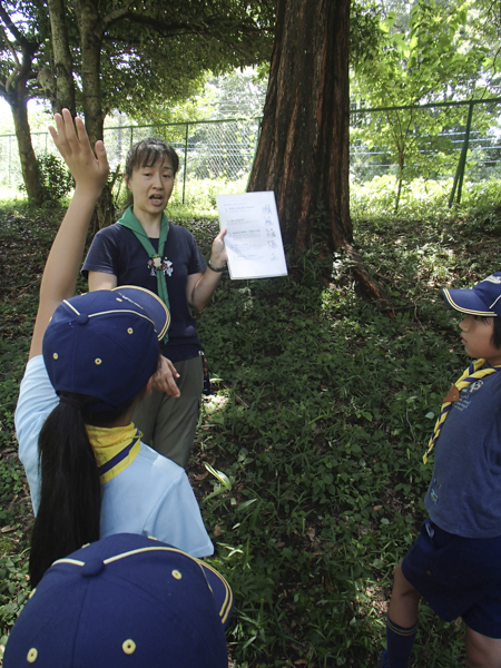 日野2団カブ隊の活動写真その28