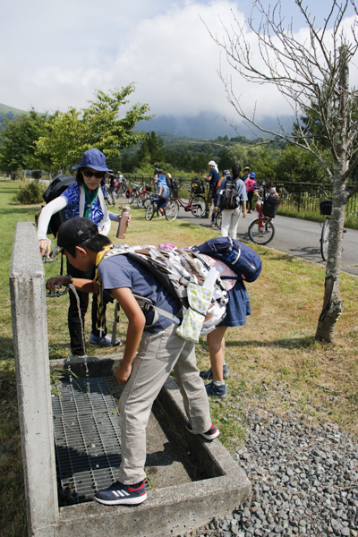 日野2団カブ隊の活動写真その21