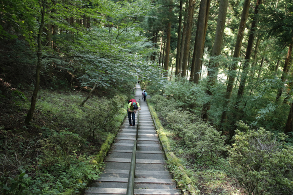 日野2団カブ隊の活動写真その29