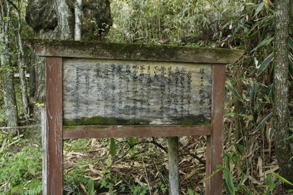 日野2団カブ隊の活動写真その36