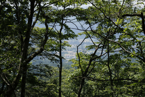 日野2団カブ隊の活動写真その50