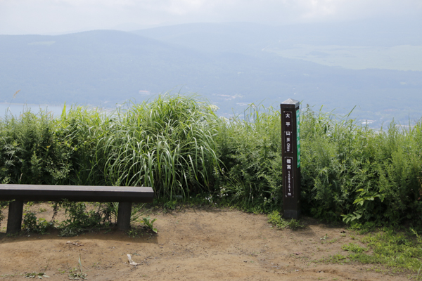 日野2団カブ隊の活動写真その8