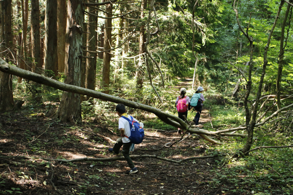 日野2団カブ隊の活動写真その18