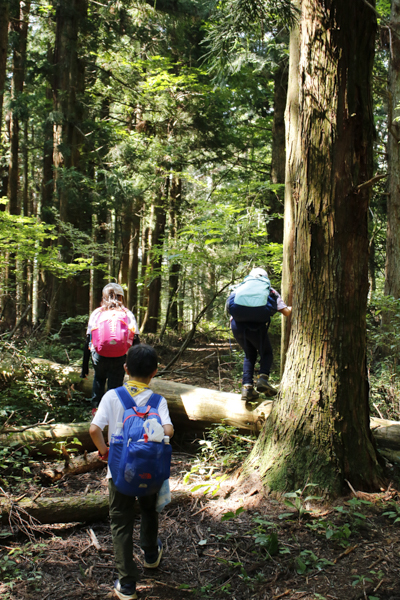 日野2団カブ隊の活動写真その19