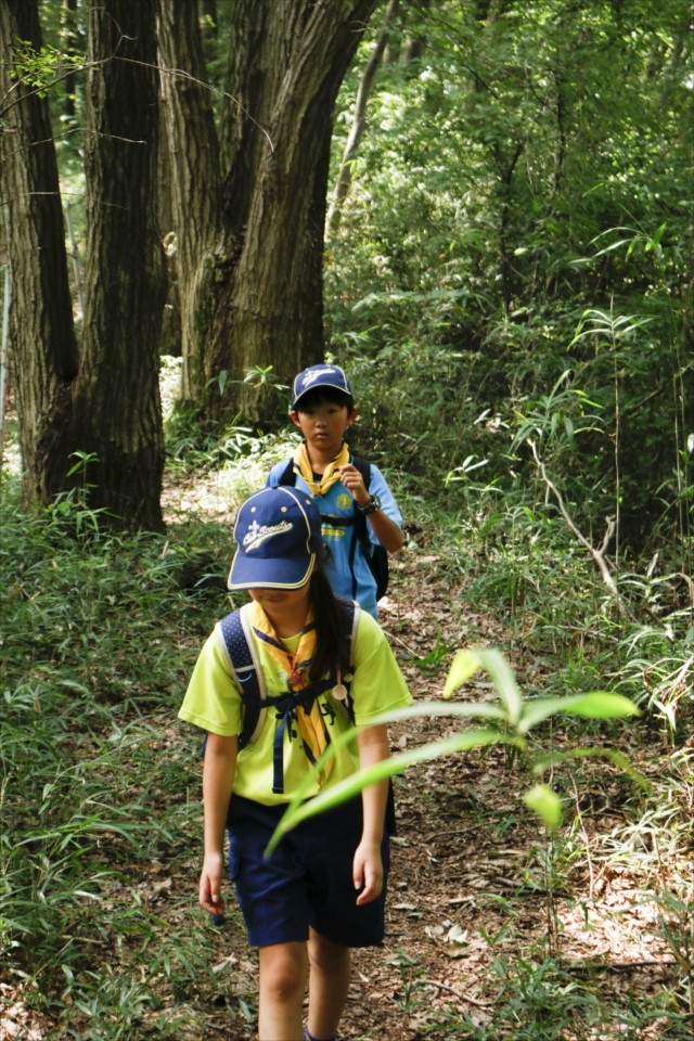 日野2団カブ隊の活動写真その14