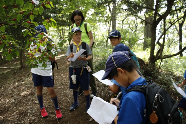 日野2団カブ隊の活動写真その15