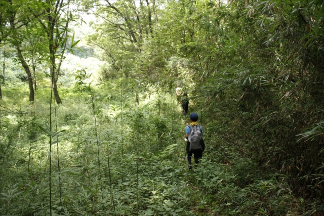 日野2団カブ隊の活動写真その21