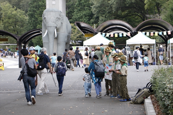 日野2団カブ隊の活動写真その8