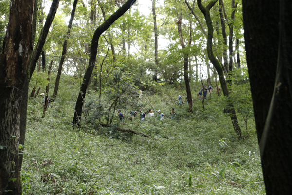 日野2団カブ隊の活動写真その29