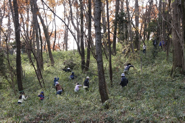 日野2団カブ隊の活動写真その26