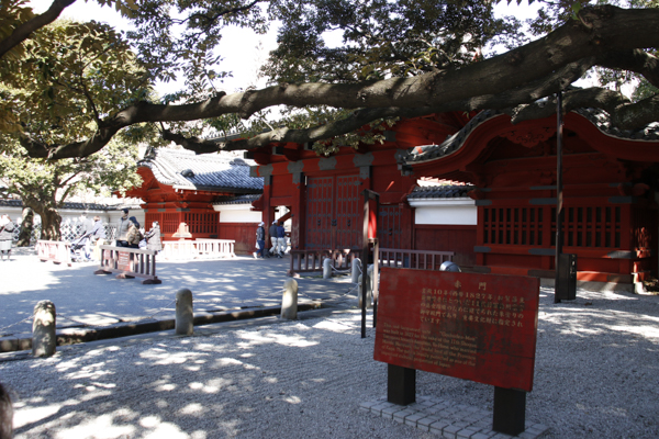 日野2団カブ隊の活動写真その39