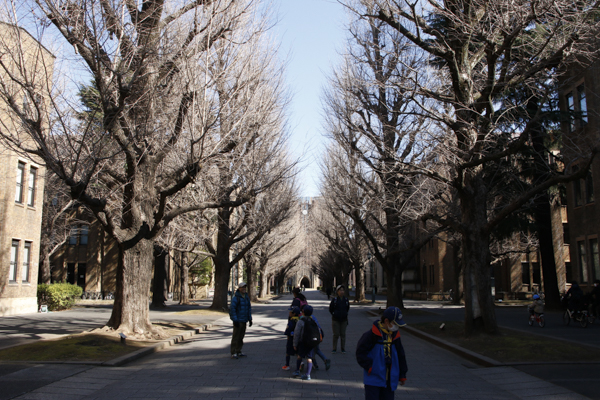 日野2団カブ隊の活動写真その41