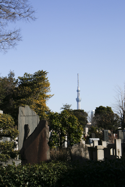 日野2団カブ隊の活動写真その24