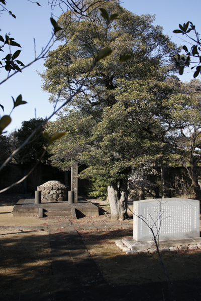 日野2団カブ隊の活動写真その27