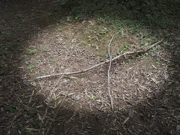 日野2団カブ隊の活動写真その9