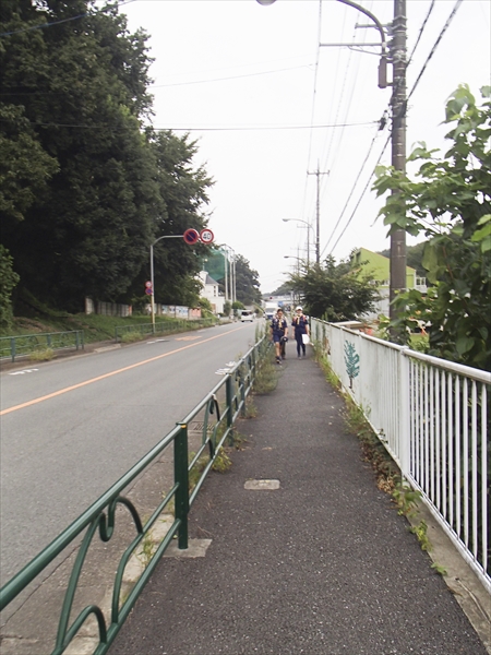 日野2団カブ隊の活動写真その48