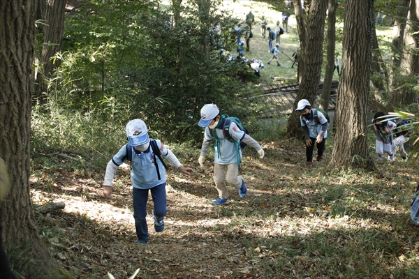 日野2団カブ隊の活動写真その17