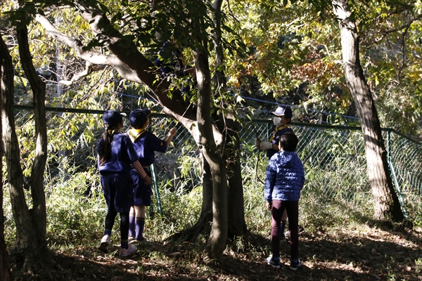 日野2団カブ隊の活動写真その3