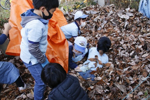 日野2団カブ隊の活動写真その8