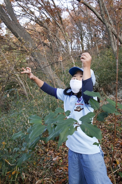 日野2団カブ隊の活動写真その31