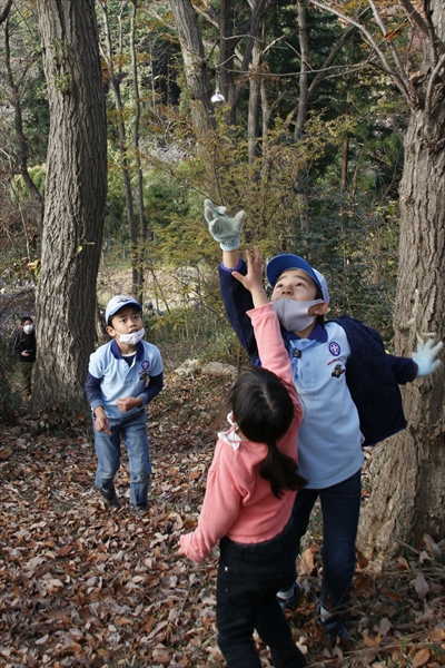 日野2団カブ隊の活動写真その35