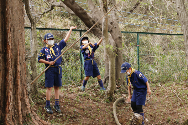 日野2団カブ隊の活動写真その1