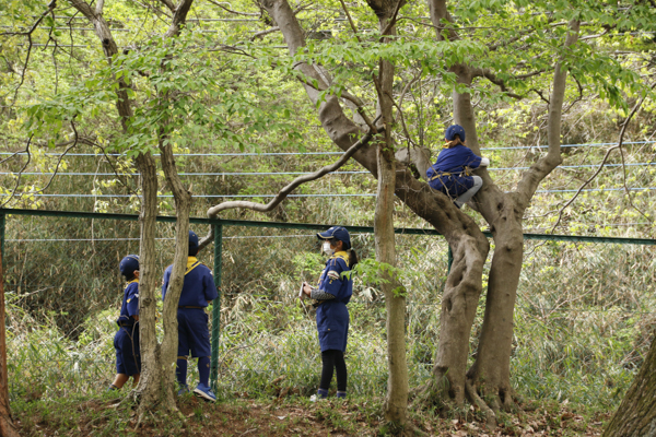 日野2団カブ隊の活動写真その2