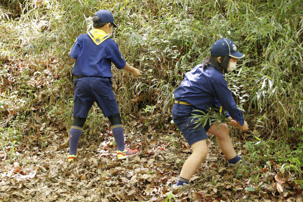 日野2団カブ隊の活動写真その49