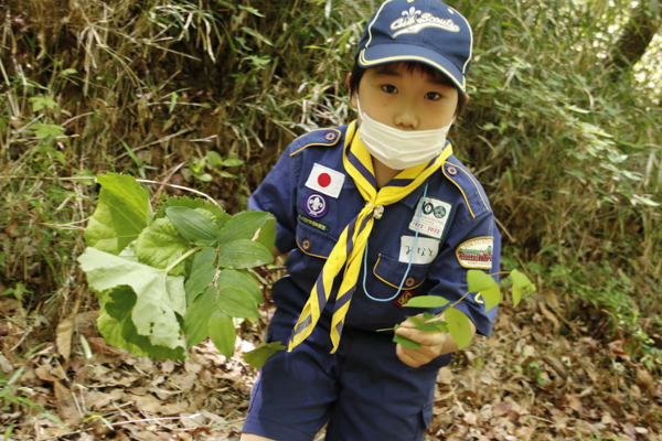 日野2団カブ隊の活動写真その50